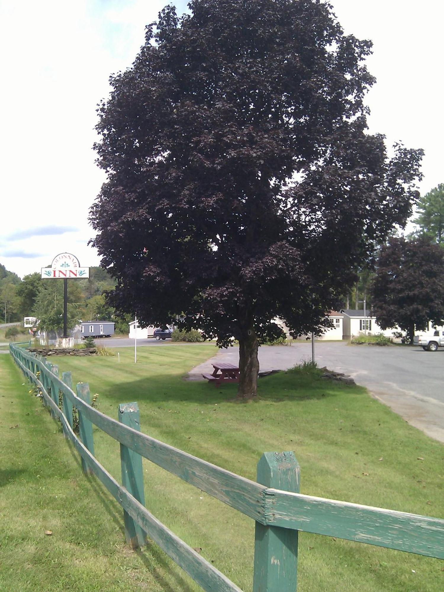 Colonnade Inn Lyndonville Buitenkant foto